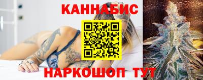 спиды Обь
