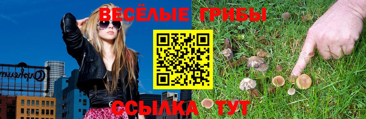 Псилоцибиновые грибы Psilocybe  Псилоцибиновые грибы мухоморы  что такое наркотик  Вход с VPN  Северобайкальск 