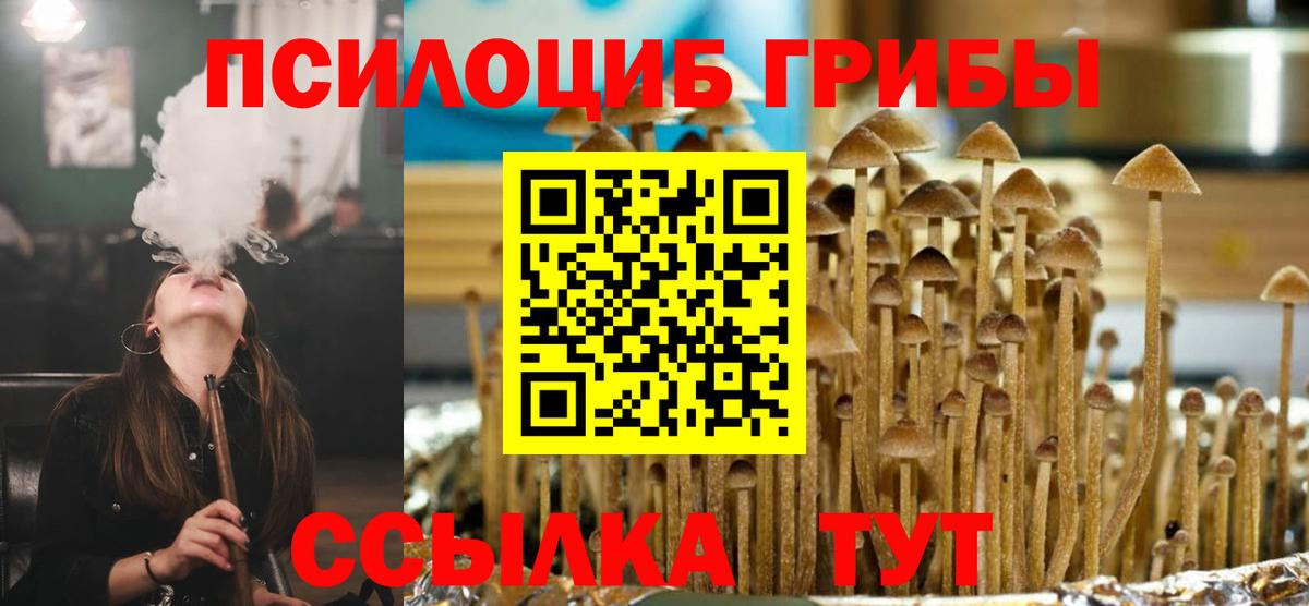 Галлюциногенные грибы прущие грибы Северобайкальск