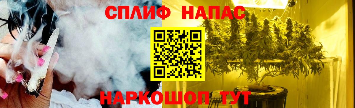 Конопля MAZAR  Шишки марихуана SATIVA & INDICA  Северобайкальск  Вход с VPN  Конопля LSD WEED  Каннабис ГИДРОПОН 